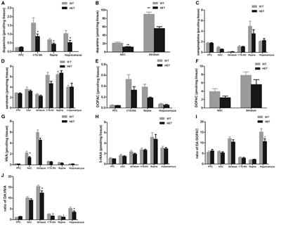 Alterations of the Motor and Olfactory Functions Related to Parkinson’s Disease in Transgenic Mice With a VMAT2-Deficiency in Dopaminergic Neurons